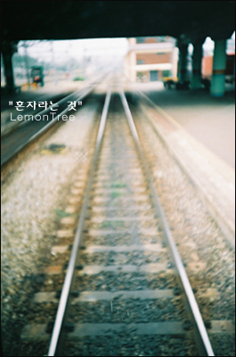  고독을 위한 의자(이해인)