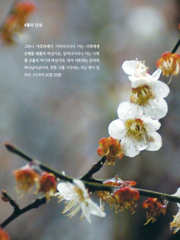  4월의 단상