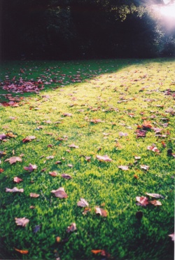  spring is comming