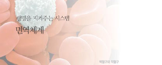  면역체계